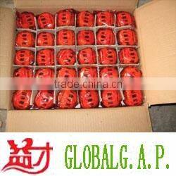 Fresh Mandarin Orange