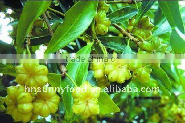 First Class Dried Star Aniseeds GuangXi Aniseeds with ISO9001 HACCP OU BRC