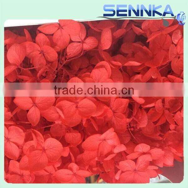 2016 Newest gold flower hydrangea preserved flower hydranger Fresh flowers farms directly