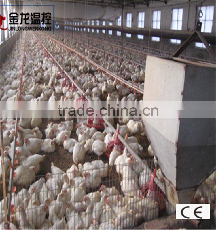 poultry automatic feeding system