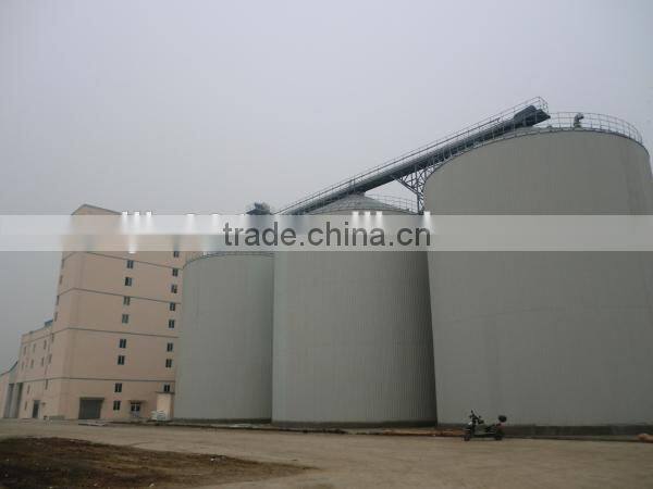 meat bone meal