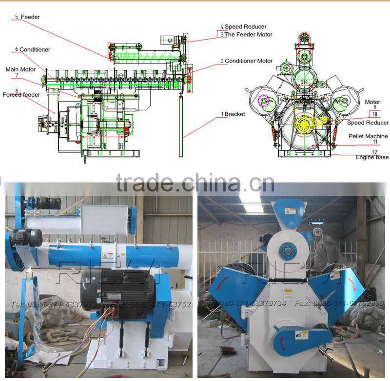 CE Approved Turn-key Biomass Pellet Plant / Wood Pellet Mill Supplier Henan Richi Machinery
