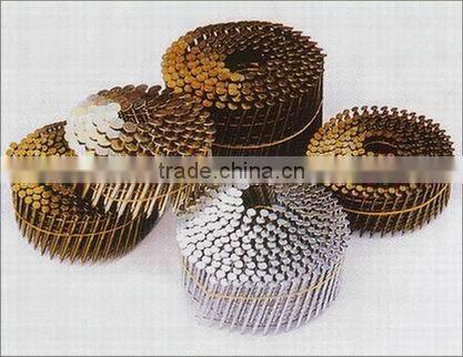 Favorable price electro galvanized pallet coil nails / common wire nail