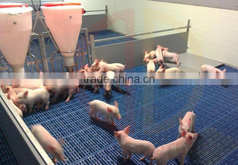 Hot sale plastic slat floor for hog china factory supply