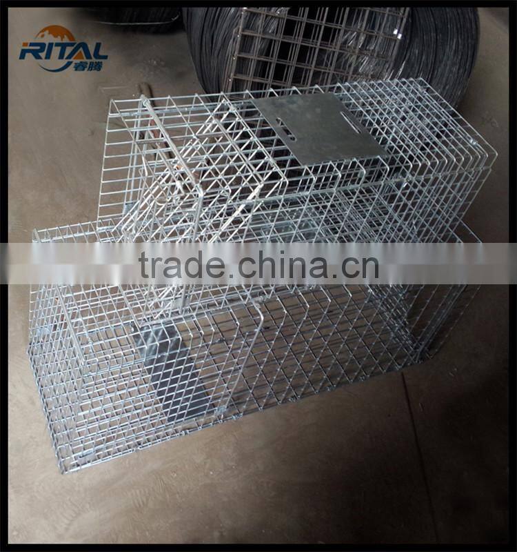 Mouse Mice Trap Rat Cage Rodent Animal Bait Pest Control Humane live