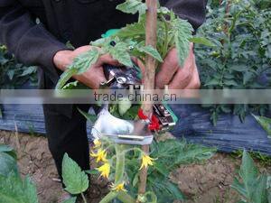 Grape tape tool and binder machine