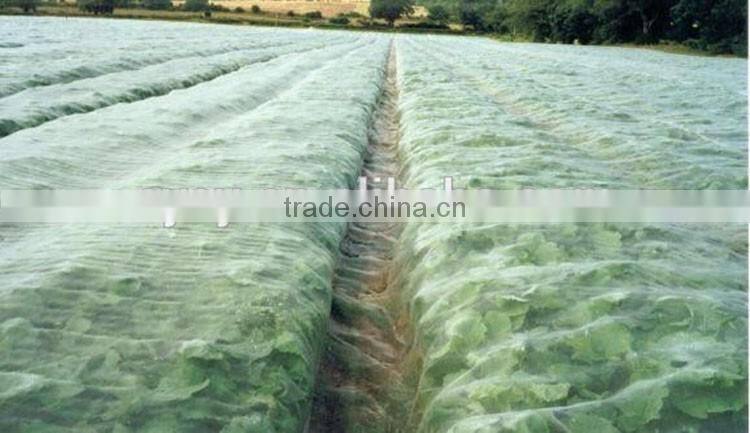 20*10 16*10 mesh white anti insect net/mosquito fly proof wire mesh