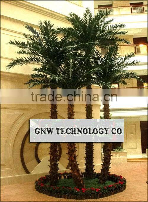 APM045 GNW Indoor Palm Trees 12ft High