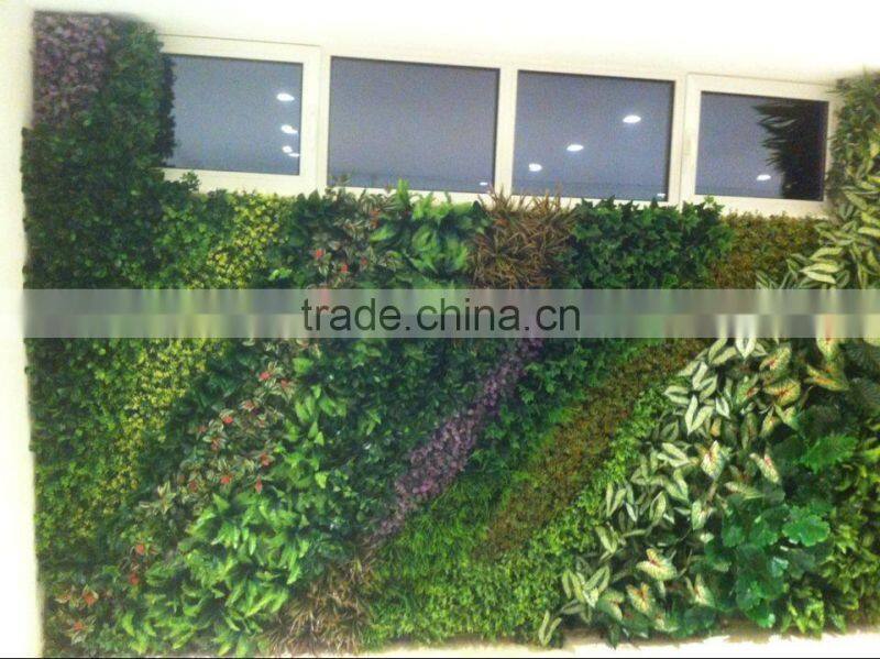 Artificial green wall for gymnasium