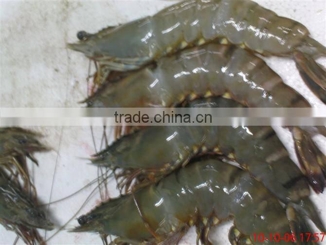 assured quality frozen Vannamei shrimp from China competitive price