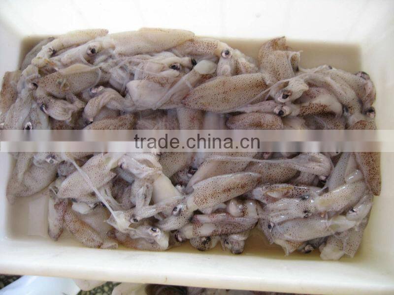 frozen seafood baby squid
