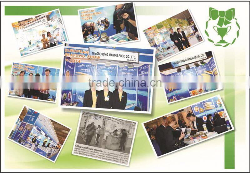 New Coming Products Frozen Yellowfin Tuna Loin