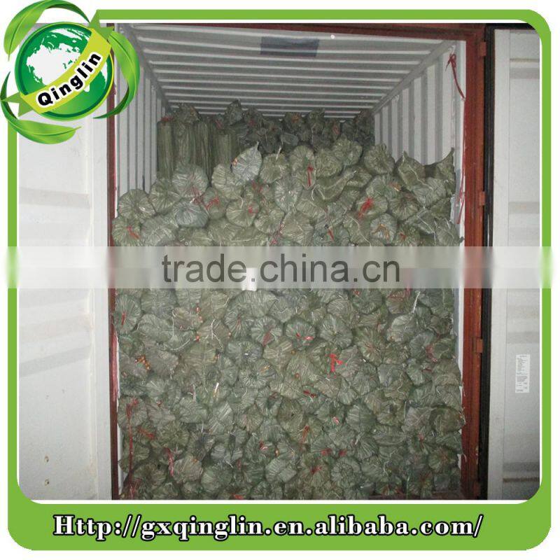 natural wood handle pvc coated wood handle varnished wood handle