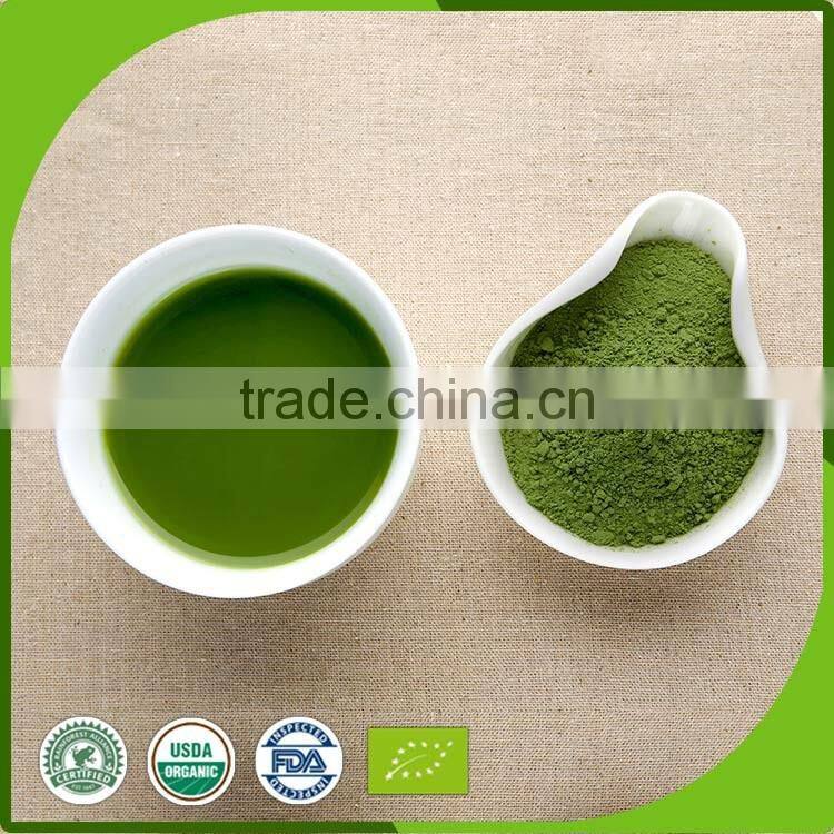Finest Organic Green Tea Powder Matcha from Zhejiang