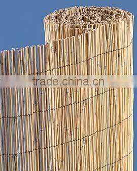 reed fence