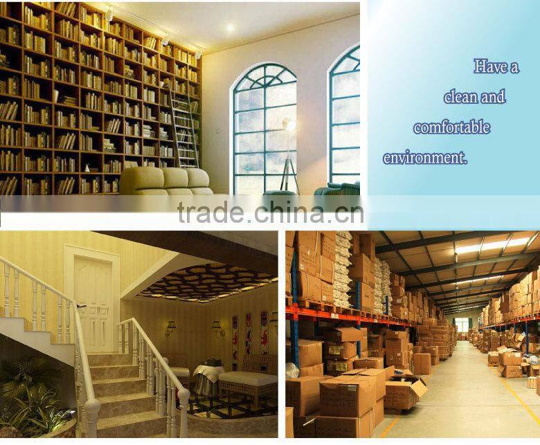 Indoor high effective electric ultrasonic pest repeller