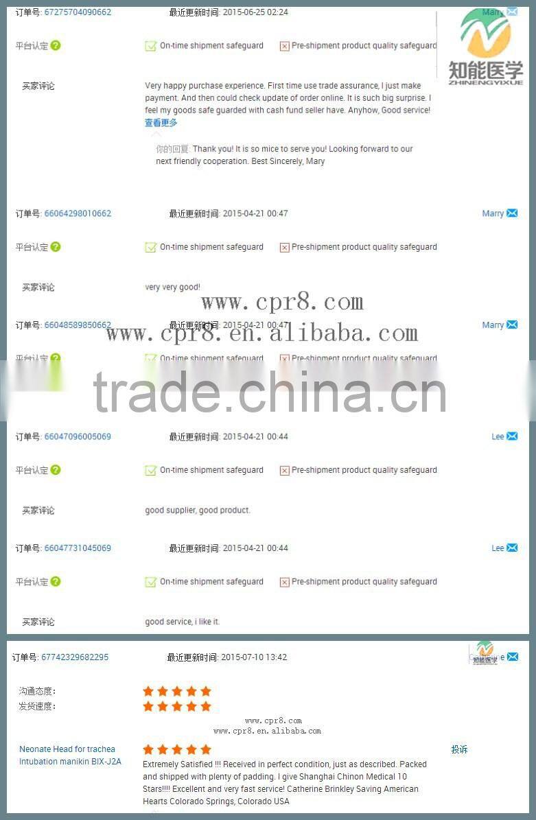 Life-size 2 lumbar vertebra, pelvis anatomic model