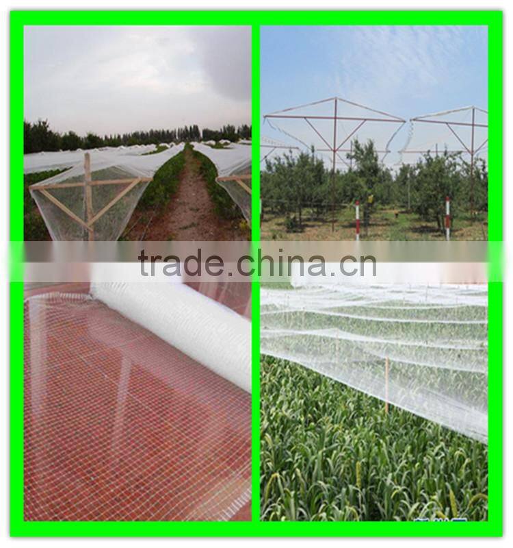 high quality virgin HDPE crops top cover anti-bird stretch net
