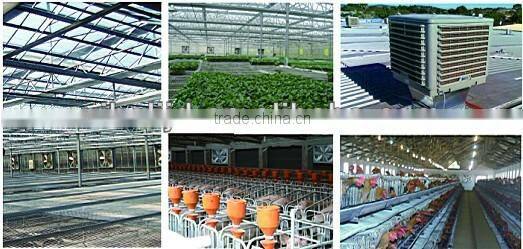 widely used poultry farm / greenhouse exhaust fan