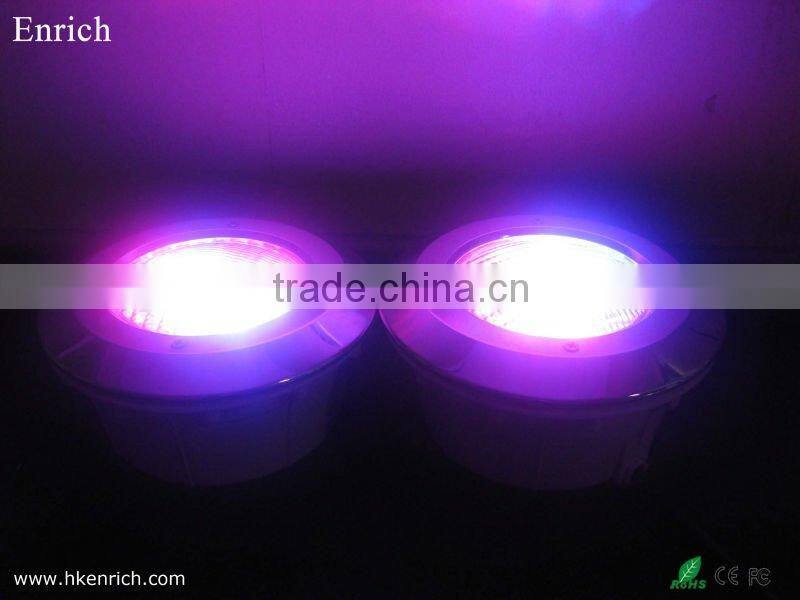 40w Green Par56 LED Swimming Pool Light