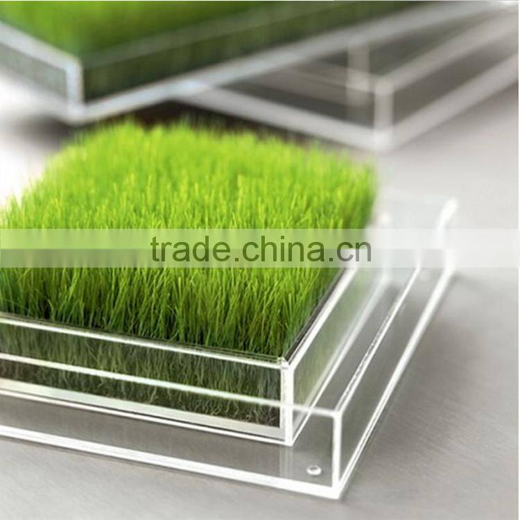 High quanlity seed tray, plastic seedling tray, clear acrylic tray