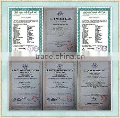 Wholesale Frozen Yellow Peach Slices