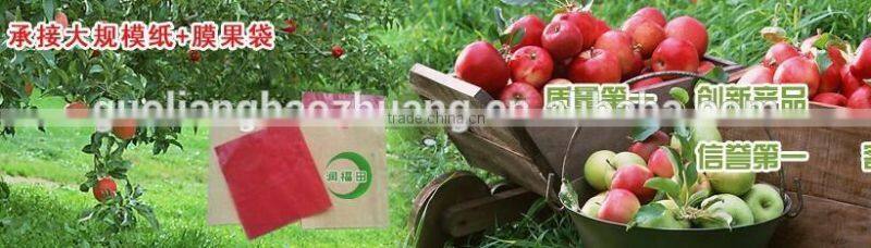 Resistant To Water Insect Against Protection Fruit Paper Bag