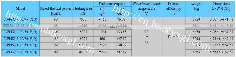 hot sale all over the world CWNS series natural gas water boiler