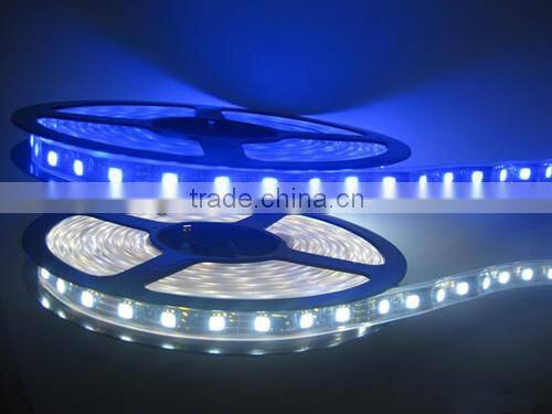 Newest smd 3528 led strip DC12V programmable rgb led strip 50m