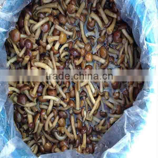 2015 crop nameko mushrooms in brine