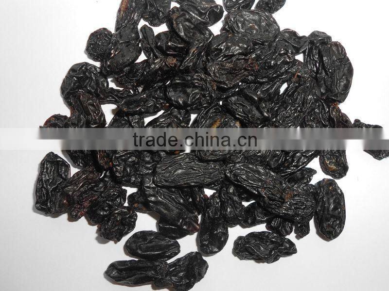 HIGH QUALITY INDUSTRIAL RAISIN