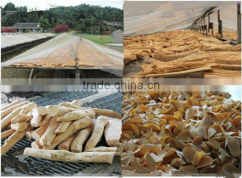 High Quality Tongkat Ali Extract from GMP Certified Manufacturer