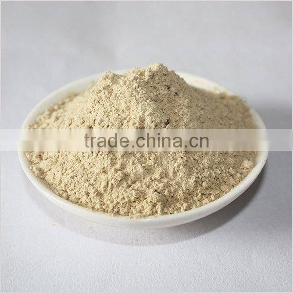 ground rhizoma kaempferiae