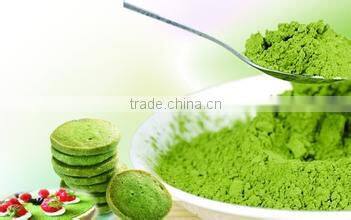 Instant tea powder matcha green tea powder food-grade matcha powder