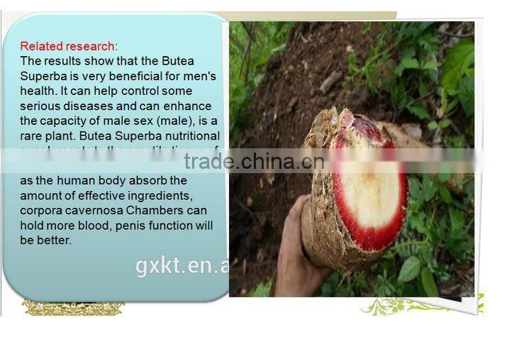 Male Erection Capsules Red Kwao Krua Extract Capsules