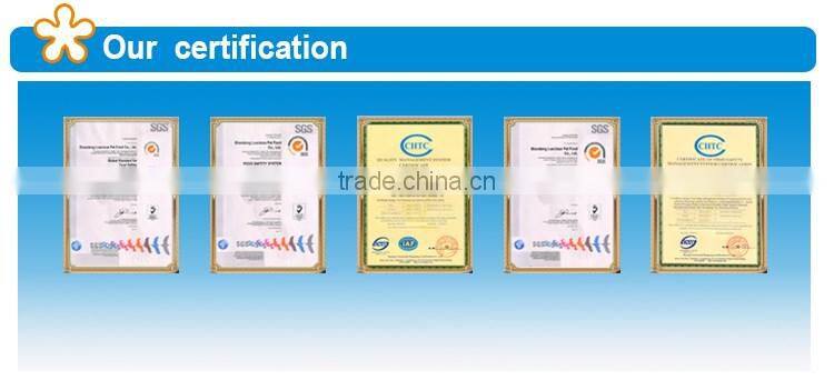 High Quality Ferro Silicon Powder with Free Samples