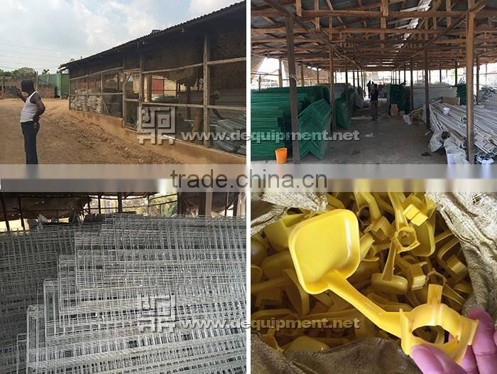 TA NO.1 lagos sample 120 birds a type poultry battery cage for nigerian farm