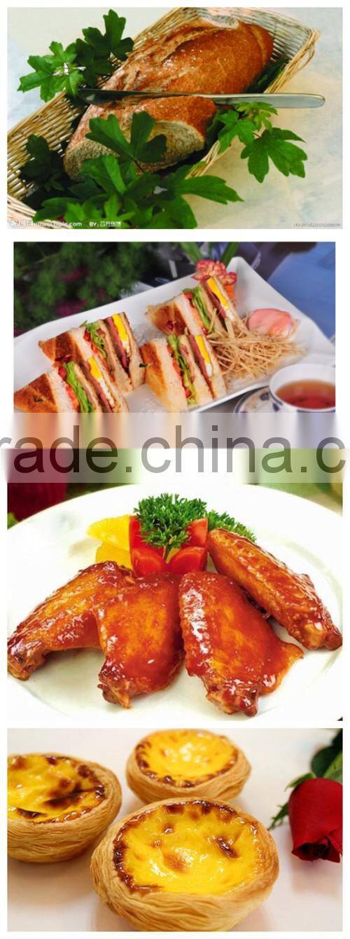 Hot sale electric oven with two hot plates