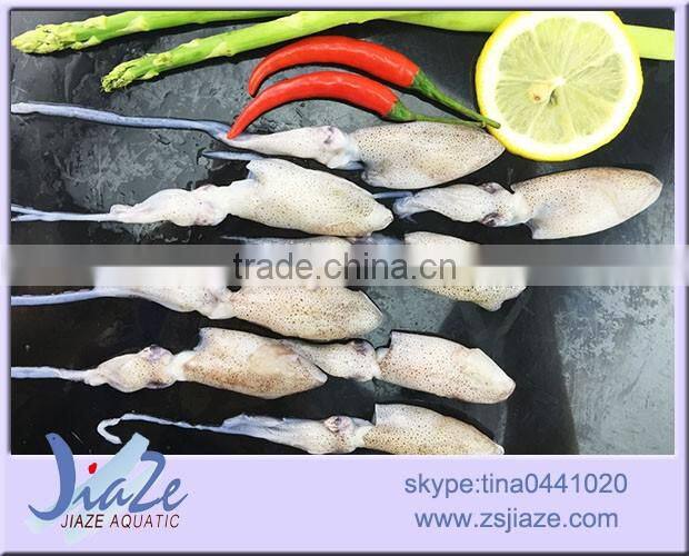 frozen food baby squid