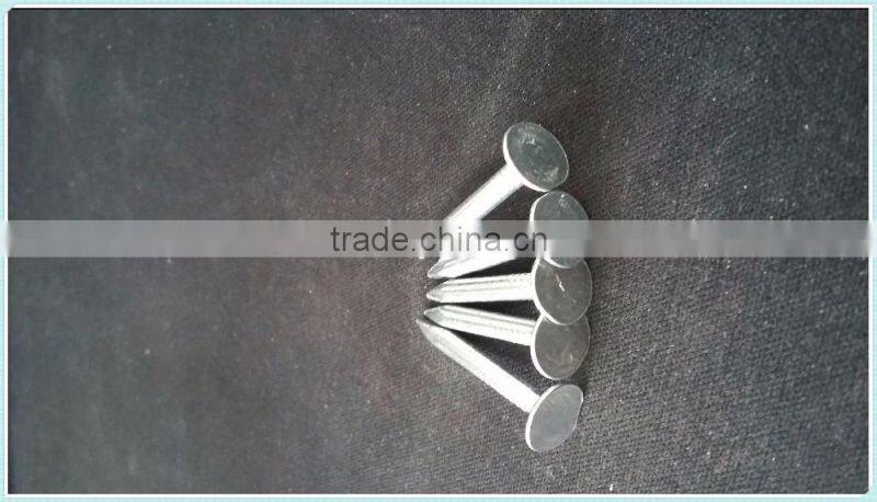 coil roofing,factory direct sale nails
