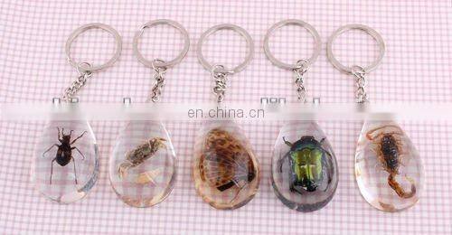 Luminous Real Insects Amber Keychain with Scorpion