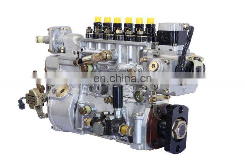 Sinotruk PS855 Series Fuel Injection Pump Use for WD615/WD618/CA6113 engine