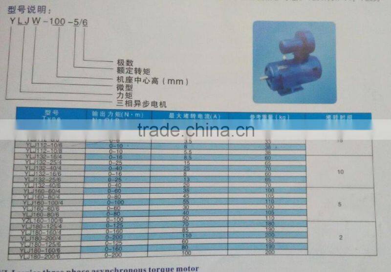 YLJ high torque low rpm ac electric motors