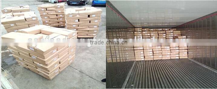 100-150g Frozen Pacific mackerel (Scomber Japonicus )