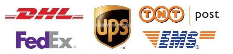 Beautiful Perfume Bottle Pattern Cupcake Wrappers