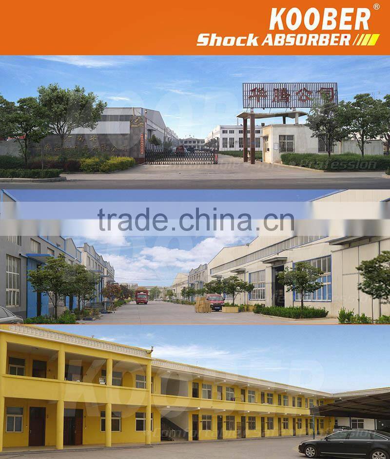 Custom accept shock absorber for CHEVROLET 96349123