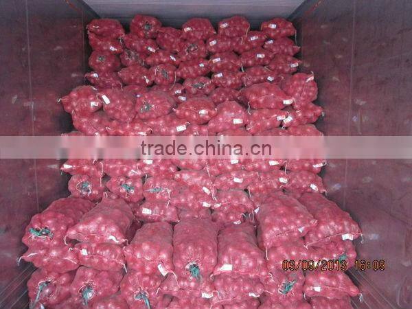 Fresh Onion Market Price