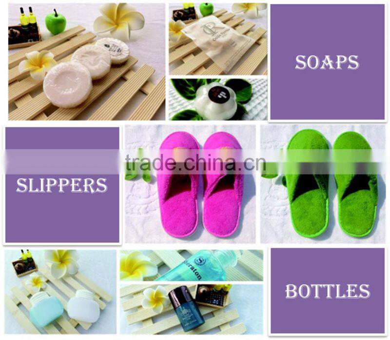 Airline toothbrush set