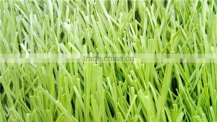 Monofile PE turf grass for football field