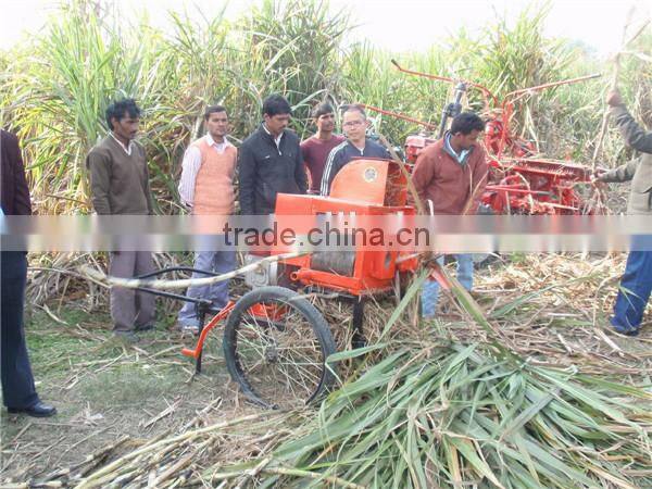 Farm small machinery leaf cutter mini sugarcane leaf remove 6BZ-5 new sugarcane leaf removing machine
